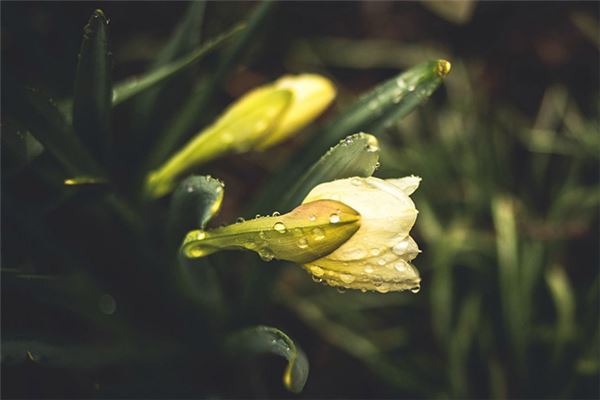 九星风水与周易八卦学(玄空九星组合吉凶断)