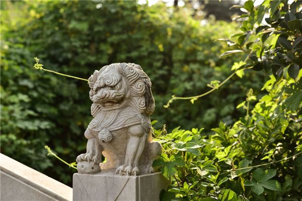 十二种招财花(招财风水方法有哪些)