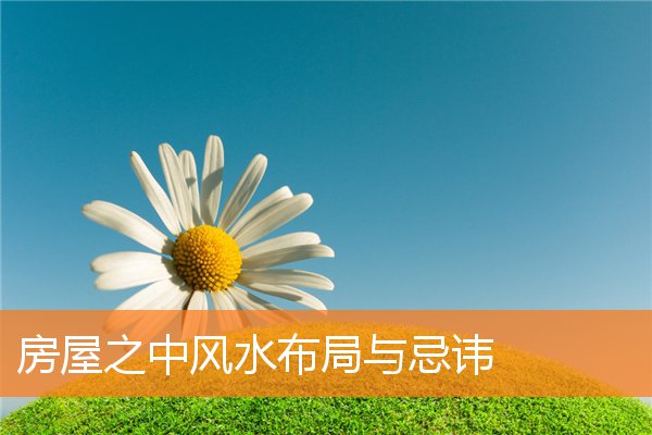 房间桃花位的位置(桃花放在家里风水好吗)