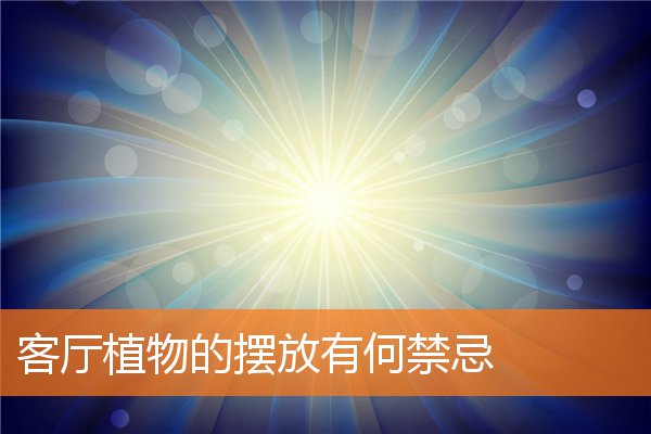 客厅可以摆放办公桌吗(办公桌椅摆放)