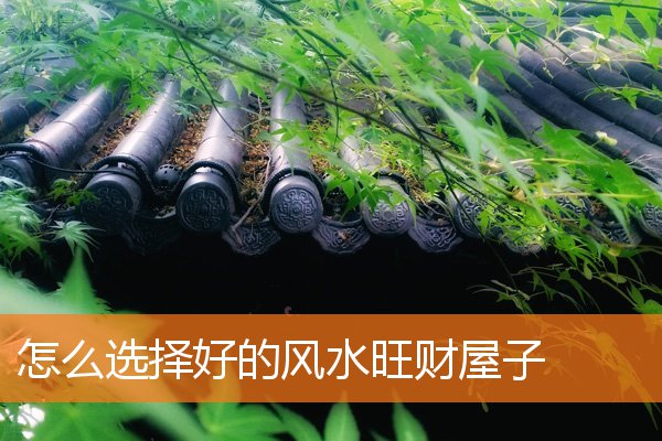 风水怎么布局家里可以发财(发财风水秘诀)