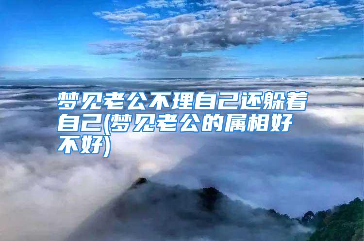 梦见老公不理自己还躲着自己(梦见老公的属相好不好)