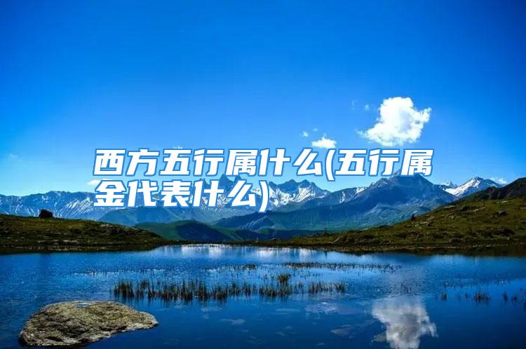 西方五行属什么(五行属金代表什么)