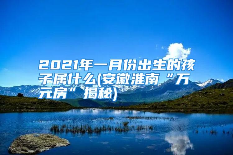 2021年一月份出生的孩子属什么(安徽淮南“万元房”揭秘)