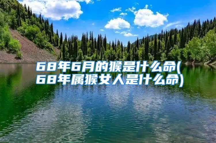 68年6月的猴是什么命(68年属猴女人是什么命)