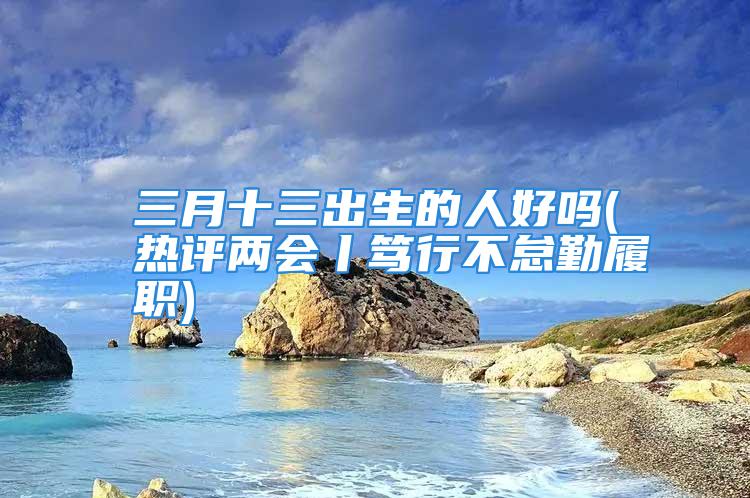 三月十三出生的人好吗(热评两会丨笃行不怠勤履职)