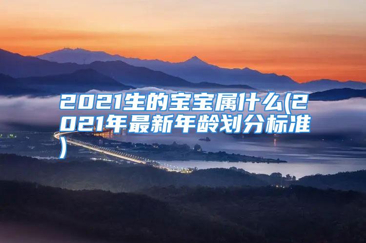 2021生的宝宝属什么(2021年最新年龄划分标准)