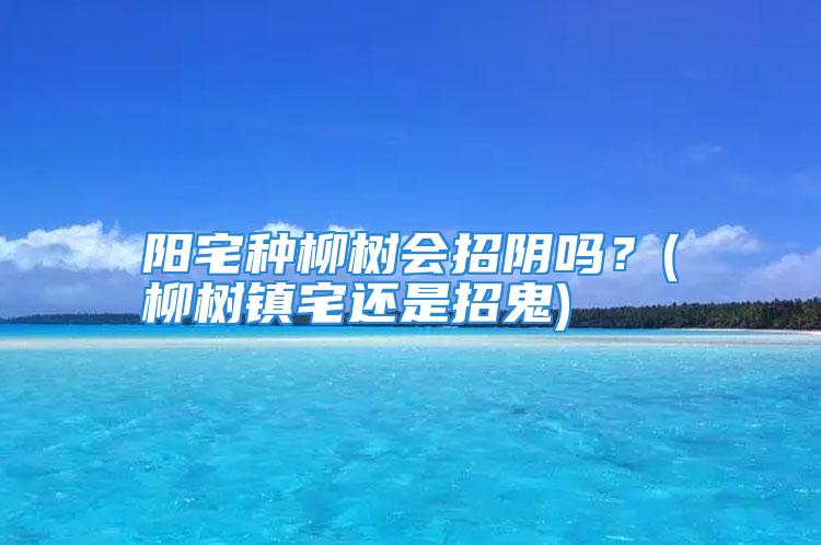 阳宅种柳树会招阴吗？(柳树镇宅还是招鬼)