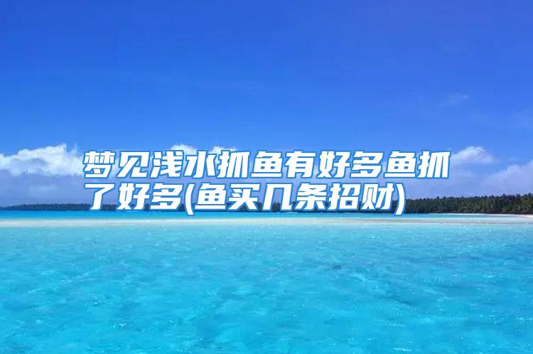 梦见浅水抓鱼有好多鱼抓了好多(鱼买几条招财)