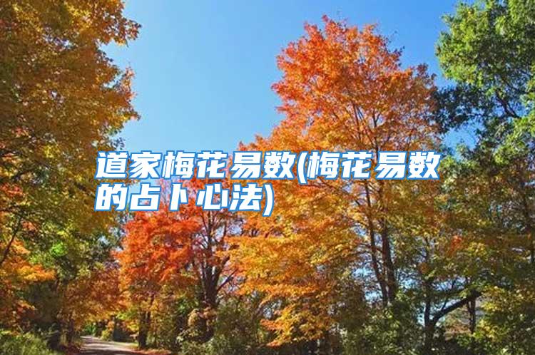 道家梅花易数(梅花易数的占卜心法)