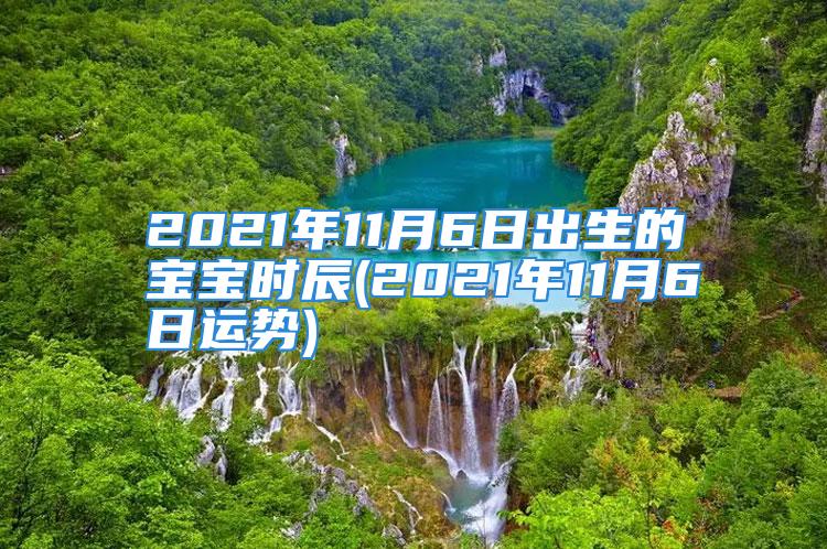 2021年11月6日出生的宝宝时辰(2021年11月6日运势)