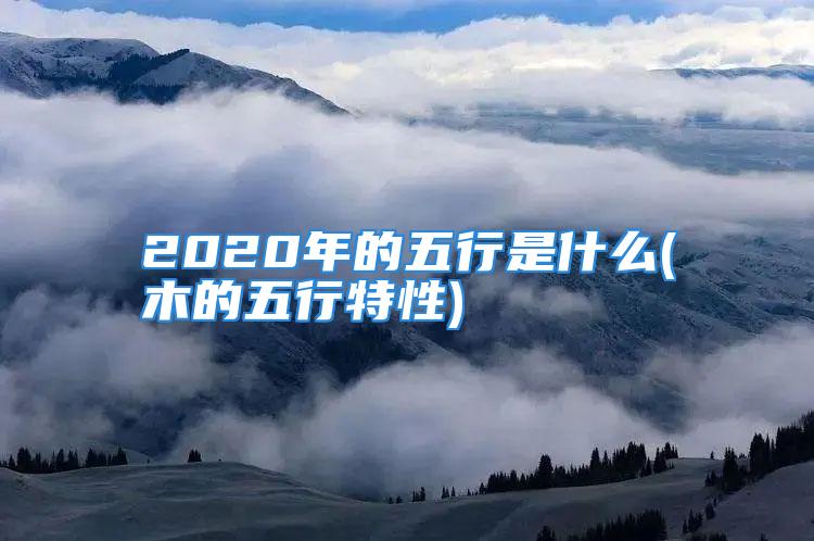 2020年的五行是什么(木的五行特性)