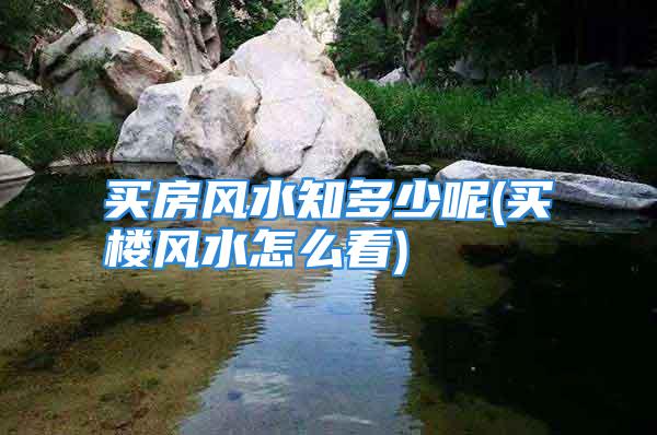 买房风水知多少呢(买楼风水怎么看)