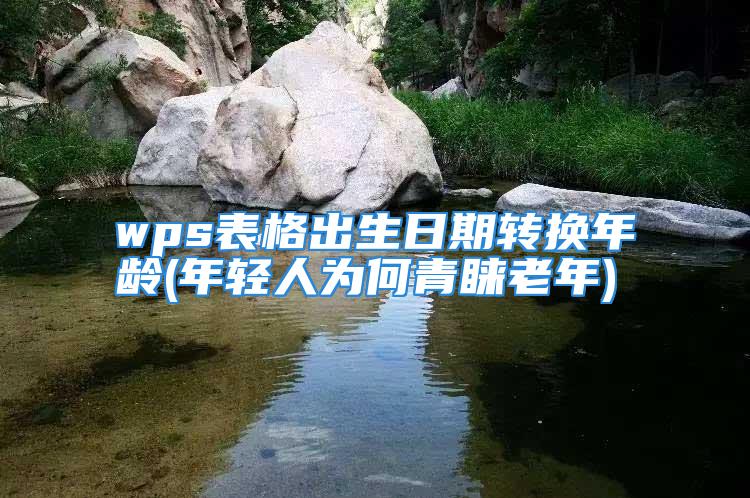 wps表格出生日期转换年龄(年轻人为何青睐老年)