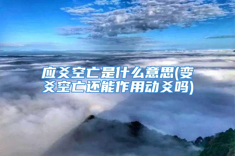 应爻空亡是什么意思(变爻空亡还能作用动爻吗)