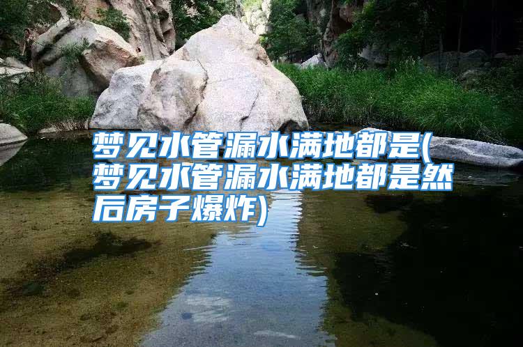 梦见水管漏水满地都是(梦见水管漏水满地都是然后房子爆炸)