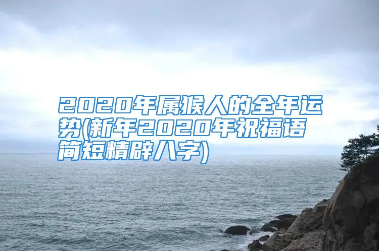 2020年属猴人的全年运势(新年2020年祝福语简短精辟八字)