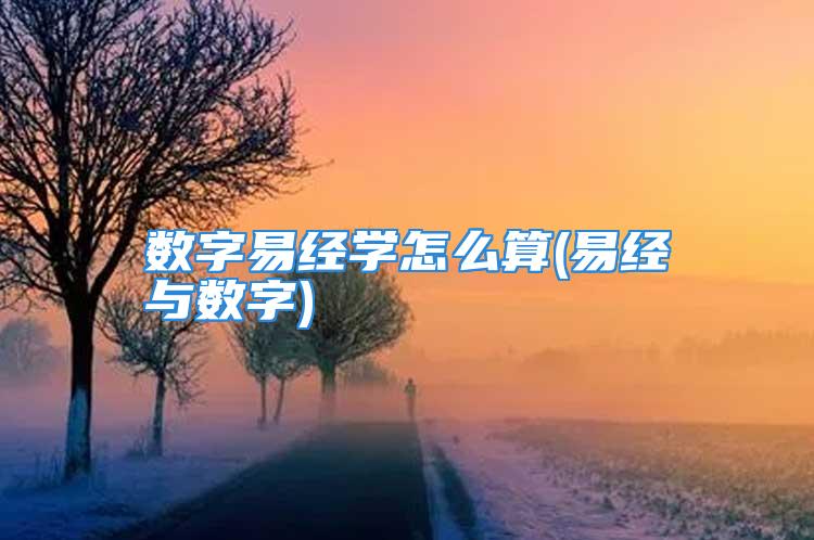 数字易经学怎么算(易经与数字)