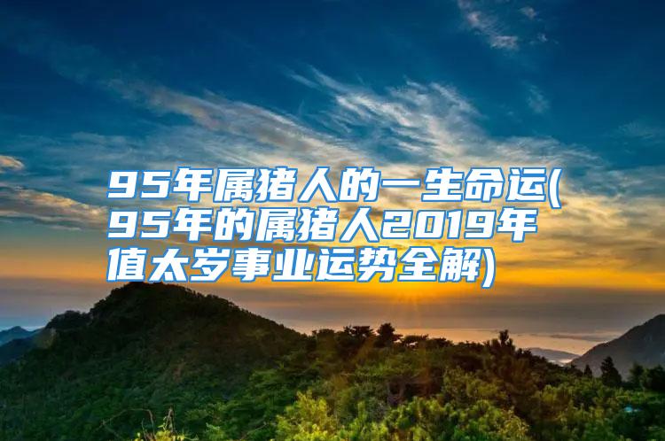 95年属猪人的一生命运(95年的属猪人2019年值太岁事业运势全解)