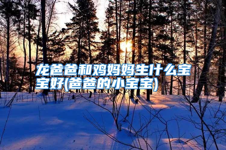 龙爸爸和鸡妈妈生什么宝宝好(爸爸的小宝宝)