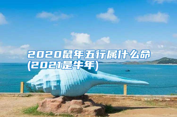 2020鼠年五行属什么命(2021是牛年)