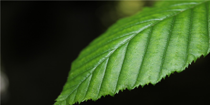 游戏结拜名字(大话西游手游结拜)