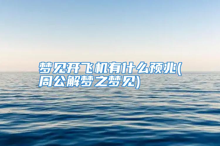 梦见开飞机有什么预兆(周公解梦之梦见)