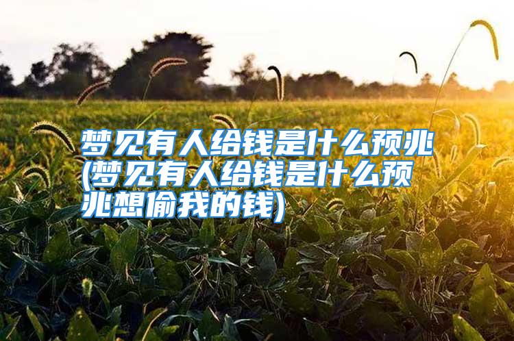 梦见有人给钱是什么预兆(梦见有人给钱是什么预兆想偷我的钱)