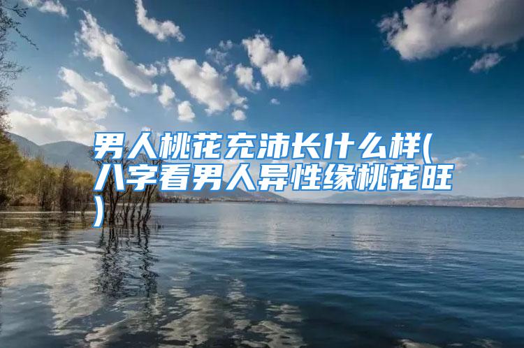 男人桃花充沛长什么样(八字看男人异性缘桃花旺)