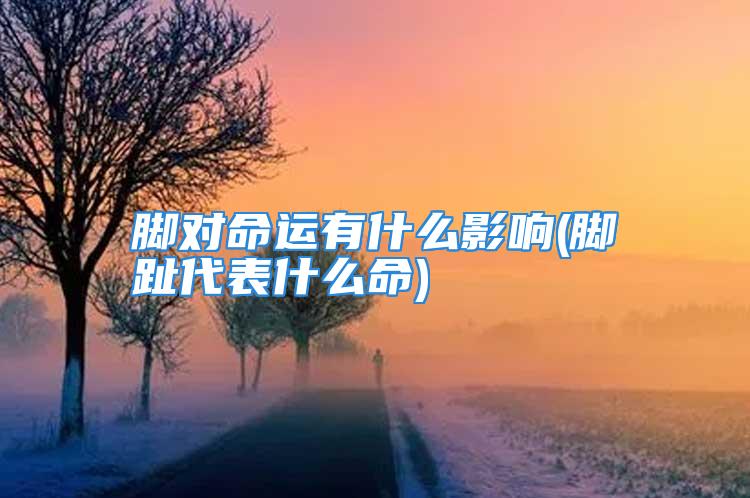 脚对命运有什么影响(脚趾代表什么命)