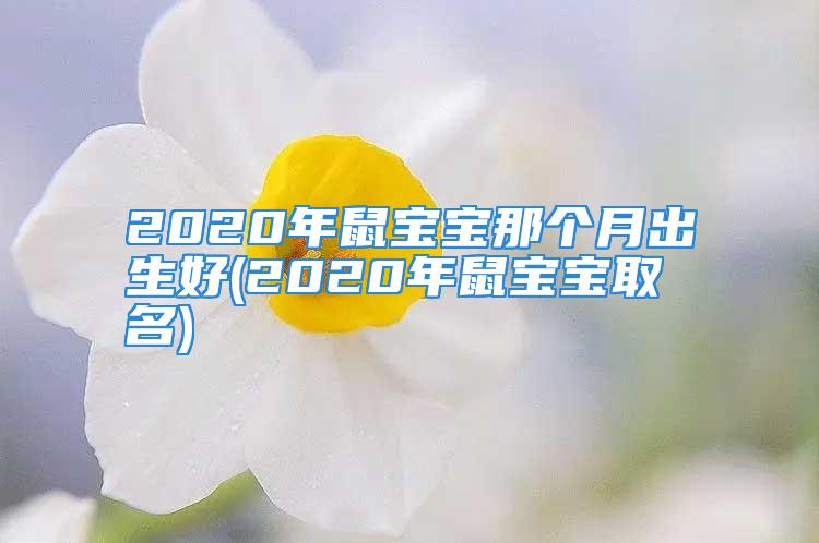 2020年鼠宝宝那个月出生好(2020年鼠宝宝取名)