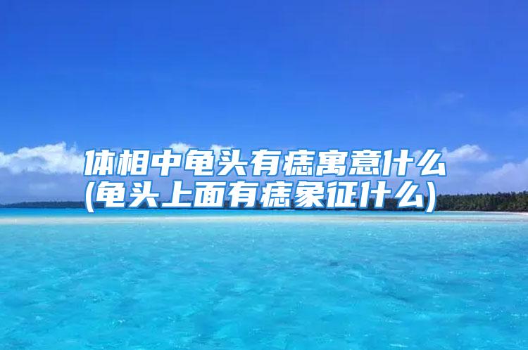 体相中龟头有痣寓意什么(龟头上面有痣象征什么)