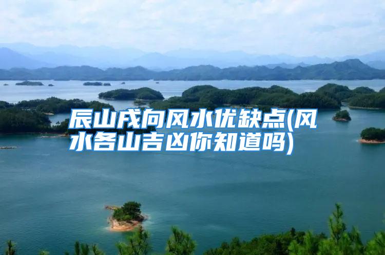 辰山戌向风水优缺点(风水各山吉凶你知道吗)