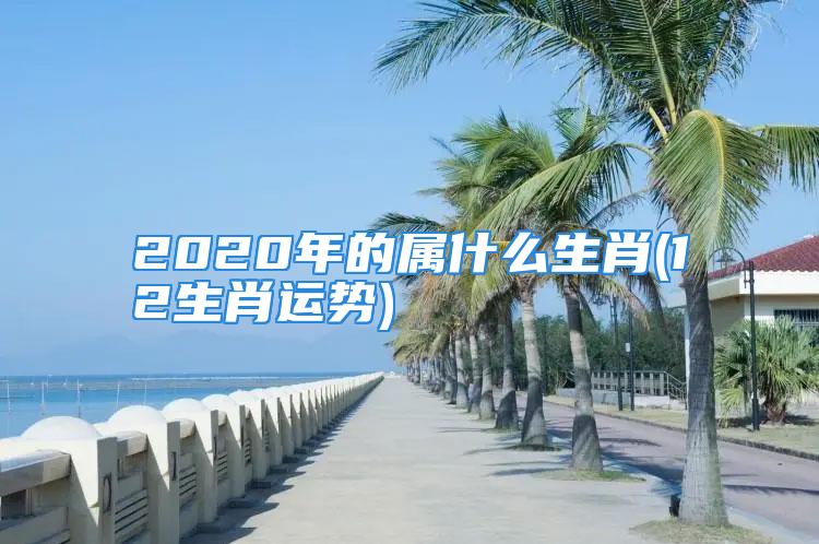 2020年的属什么生肖(12生肖运势)