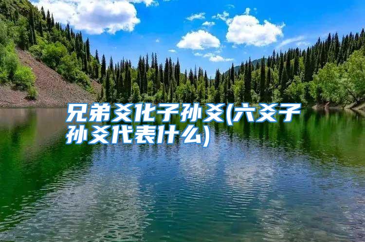 兄弟爻化子孙爻(六爻子孙爻代表什么)