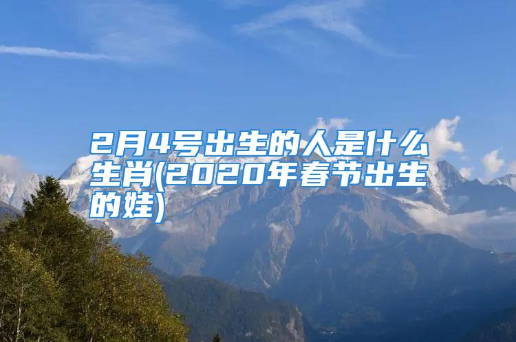 2月4号出生的人是什么生肖(2020年春节出生的娃)