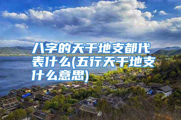 八字的天干地支都代表什么(五行天干地支什么意思)