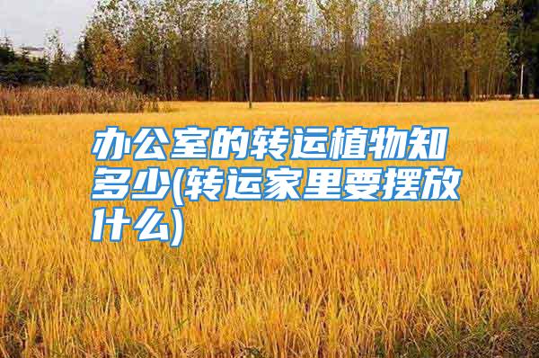 办公室的转运植物知多少(转运家里要摆放什么)