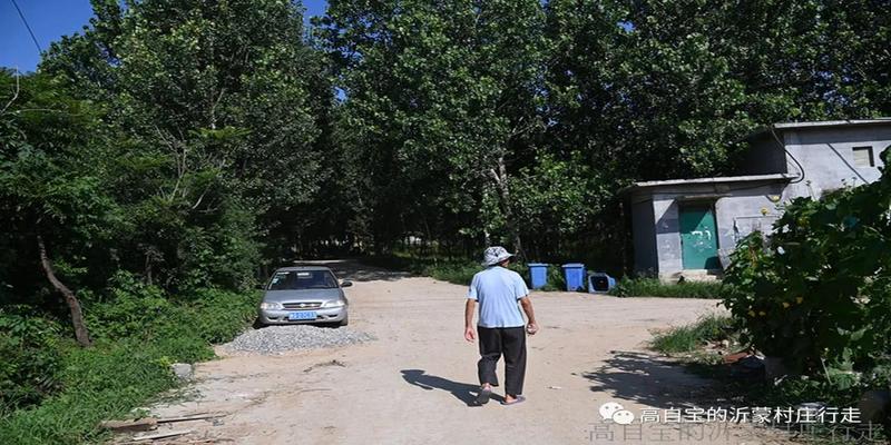 老庙算卦的在哪(世和庄的贺伯珍)