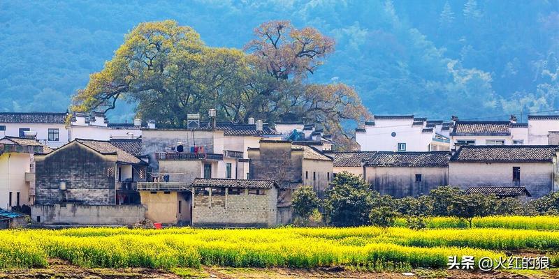 获嘉县牛吴巷算卦(明朝农村疑案)