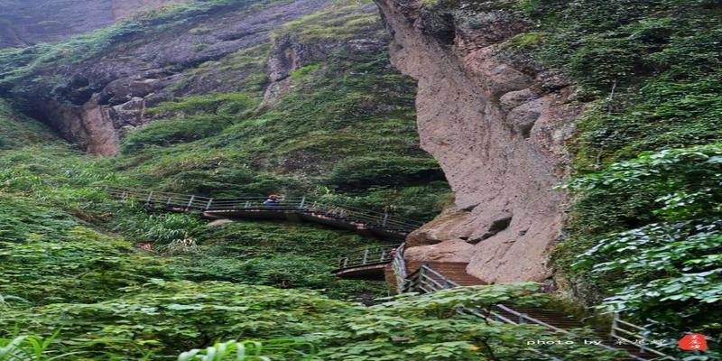 龙虎山正一观算卦(雨中寻梦龙虎山)