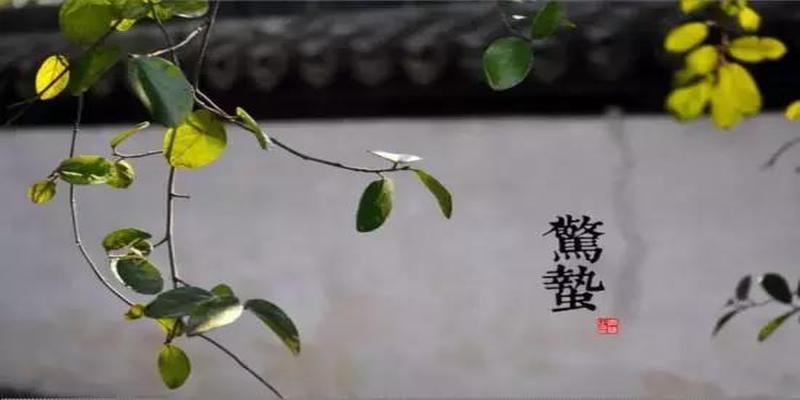 八字旺衰查询(八字命理丨如何判断日元旺衰)