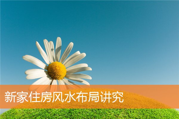 客厅摆什么植物好旺财(客厅放什么摆件最旺财)