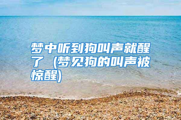 梦中听到狗叫声就醒了 (梦见狗的叫声被惊醒)