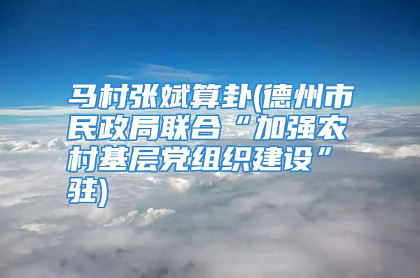 马村张斌算卦(德州市民政局联合“加强农村基层党组织建设”驻)