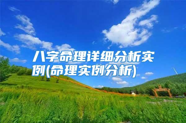 八字命理详细分析实例(命理实例分析)