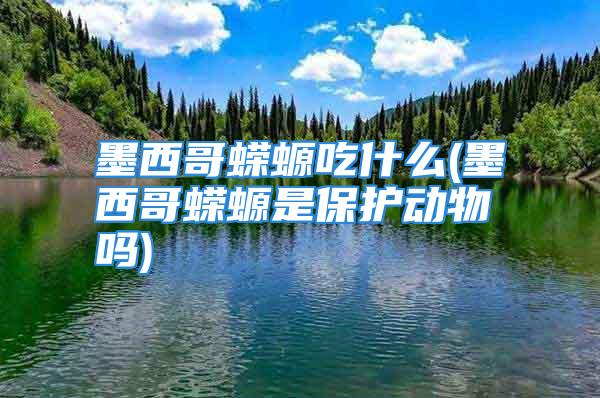 墨西哥蝾螈吃什么(墨西哥蝾螈是保护动物吗)