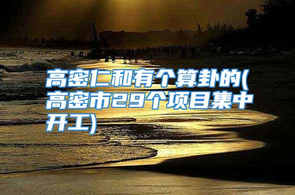 高密仁和有个算卦的(高密市29个项目集中开工)