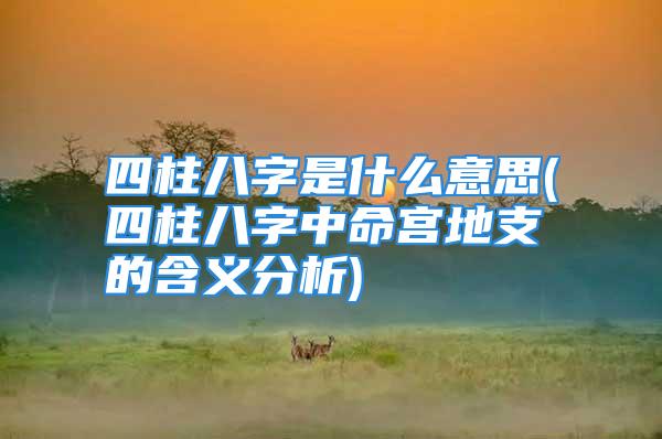 四柱八字是什么意思(四柱八字中命宫地支的含义分析)