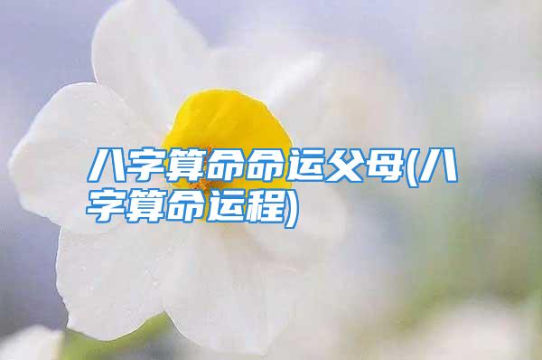 八字算命命运父母(八字算命运程)